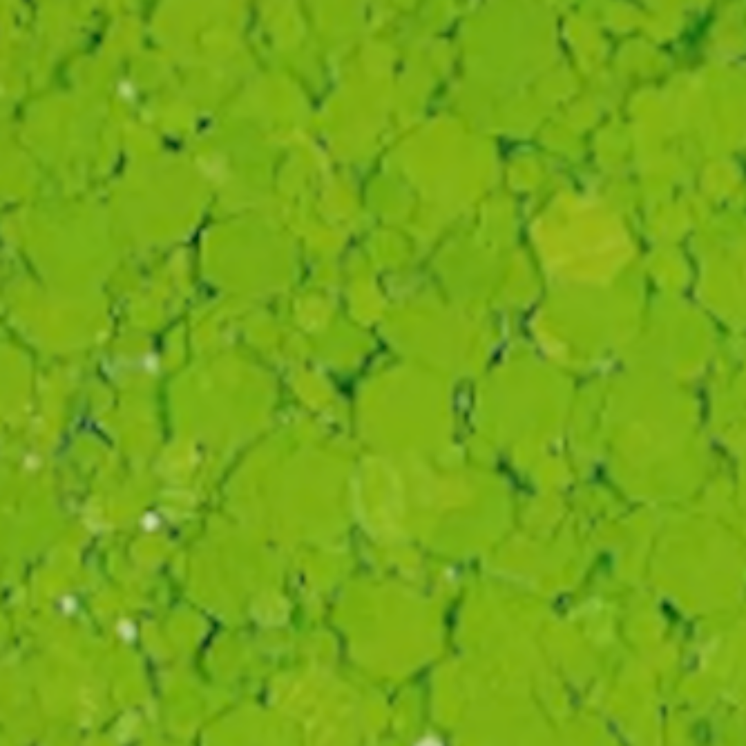 Chunky glitter mix | Peridot